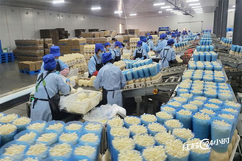 工廠化種植食用菌 規模化供應與日用雜品市場的融合新機遇